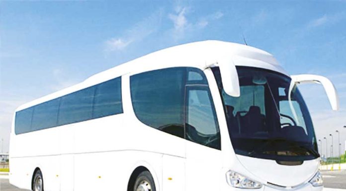 Oeste vai ter transportes rodoviários gratuitos