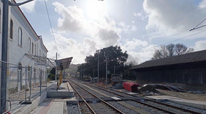 IP vai avançar com auditoria externa ao plano de investimento na ferrovia