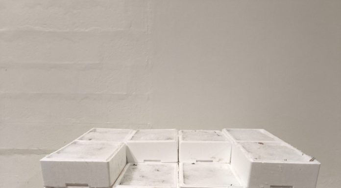 GNR apreende 240 quilos de pescada subdimensionada na Nazaré