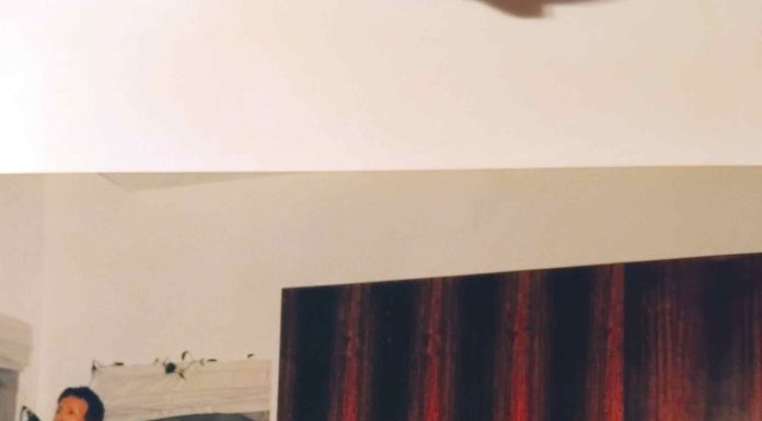 David Leandro Ribeiro – Um antigo estudante de Coimbra… residente das Caldas da Rainha e líder do CDS na AM – II