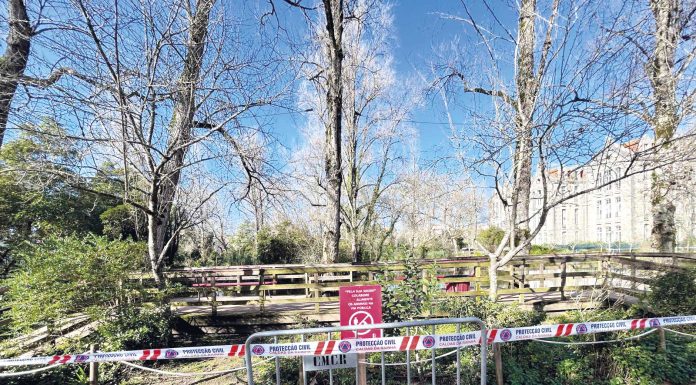 Caldas com dois focos de gripe das aves identificados