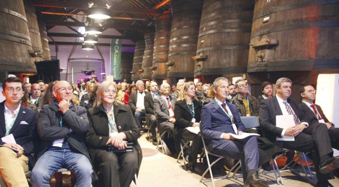 AIRO quer apoiar longevidade das empresas familiares