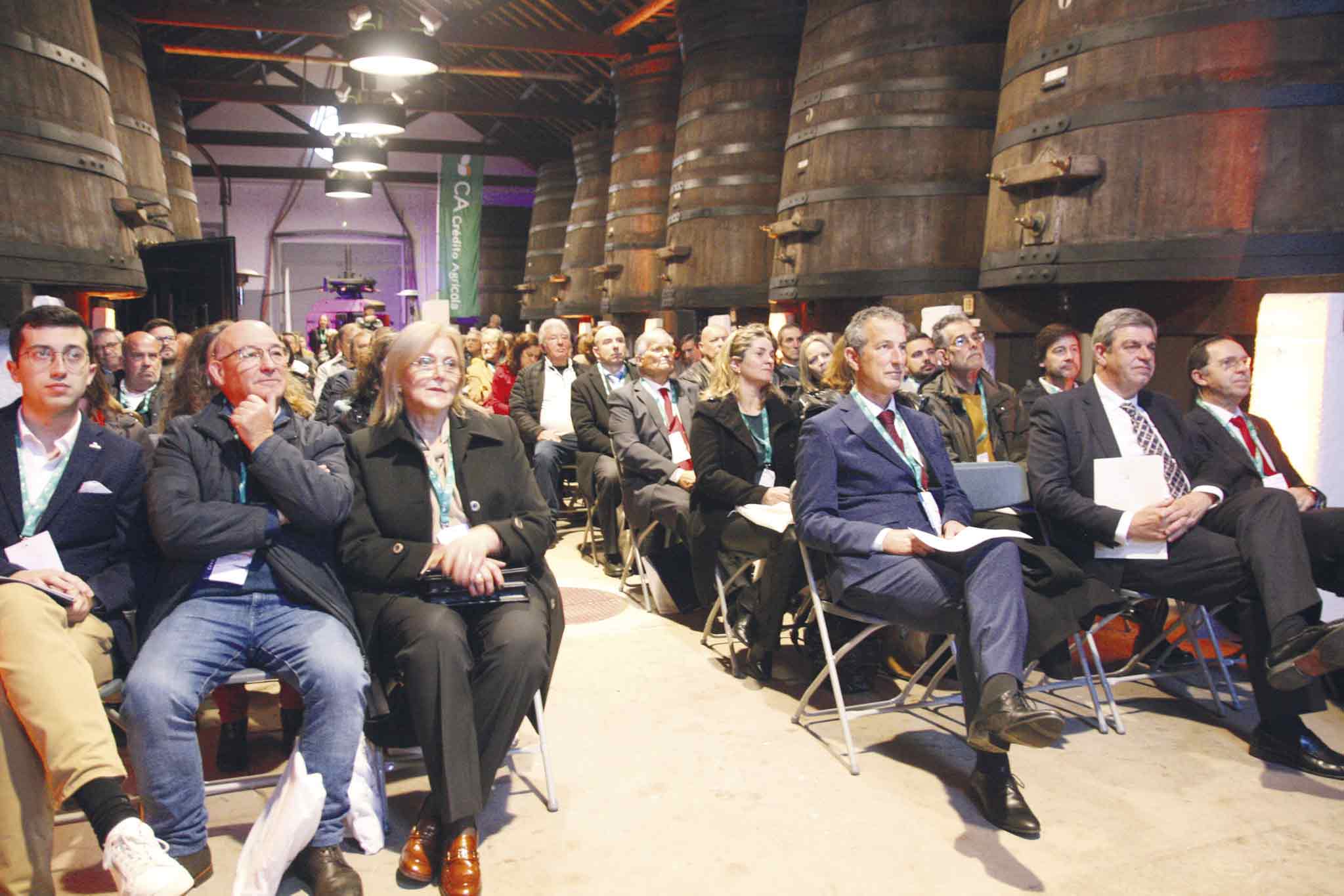 AIRO quer apoiar longevidade das empresas familiares