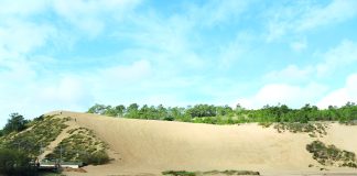 Governo avança com estudo para classificar duna de Salir do Porto