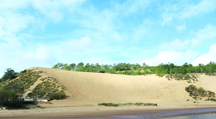 Governo avança com estudo para classificar duna de Salir do Porto