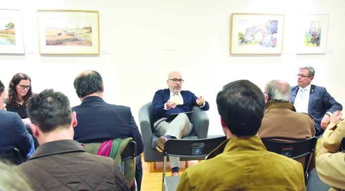 Linha do Oeste modernizada em 2026 mas sem comboio elétrico até às Caldas