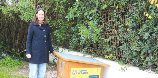 Casas abrigam colónias de gatos