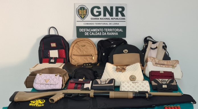 Quatro detidos por furtos em Alcobaça, Cadaval, Leiria e Vila Real