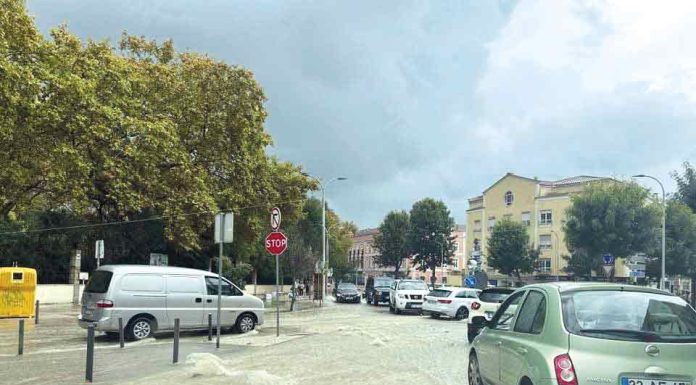 Caldas já tem Conselho Local da Ação Climática