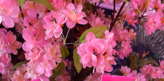 Pirilampos e Pardalinhas das Caldas são lançados hoje