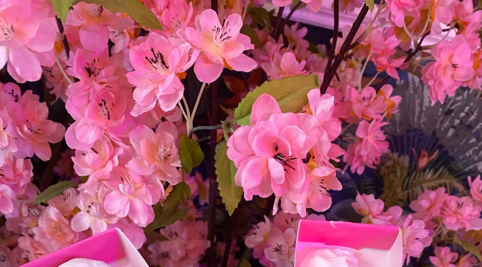 Pirilampos e Pardalinhas das Caldas são lançados hoje