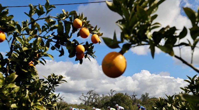 Volta ao Algarve: Colégio de Comissários anula primeira etapa após falha na chegada