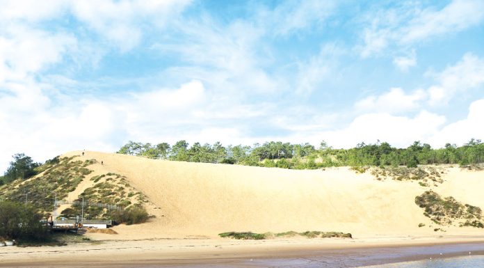 Duna de Salir vai ser monumento natural local