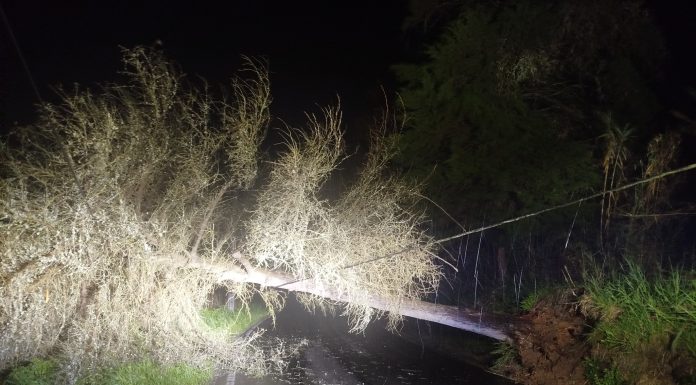 Mais de meia centena de ocorrências recebidas pelo Serviço Municipal da Proteção Civil das Caldas