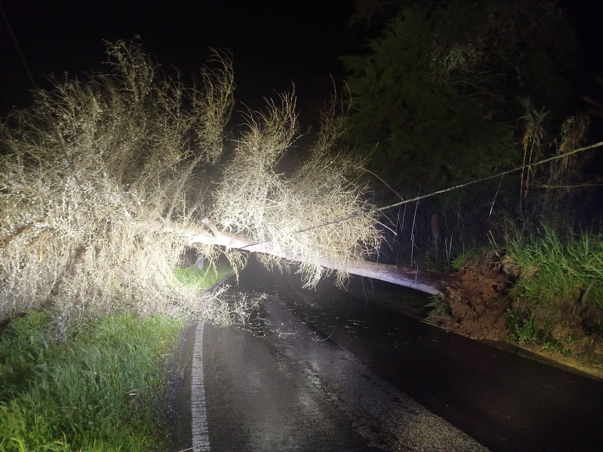 Mau tempo: Oeste registou 475 ocorrências e 13 desalojados desde as 12:00 de quarta-feira