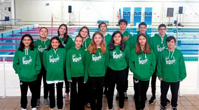 Pimpões em destaque com oito pódios