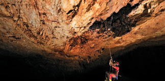 Caldense Ana Sofia Reboleira é uma referência na Ciência