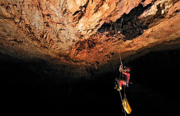 Caldense Ana Sofia Reboleira é uma referência na Ciência