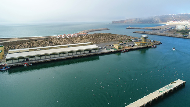 Câmara da Nazaré pede intervenção no molhe norte do porto de pesca