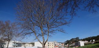 Novo terminal rodoviário já está em funcionamento