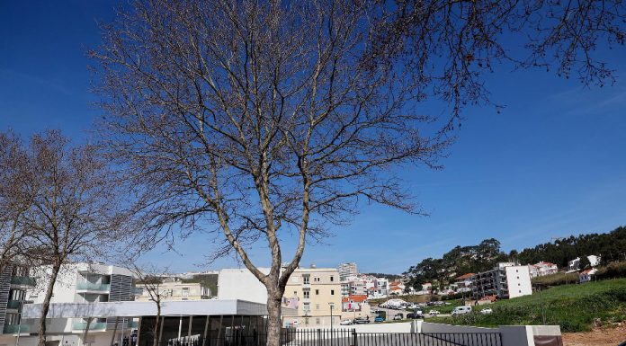 Novo terminal rodoviário já está em funcionamento