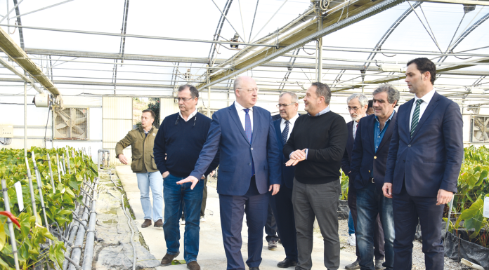 Ministro visitou estufas de antúrios em Óbidos afetadas pela intempérie