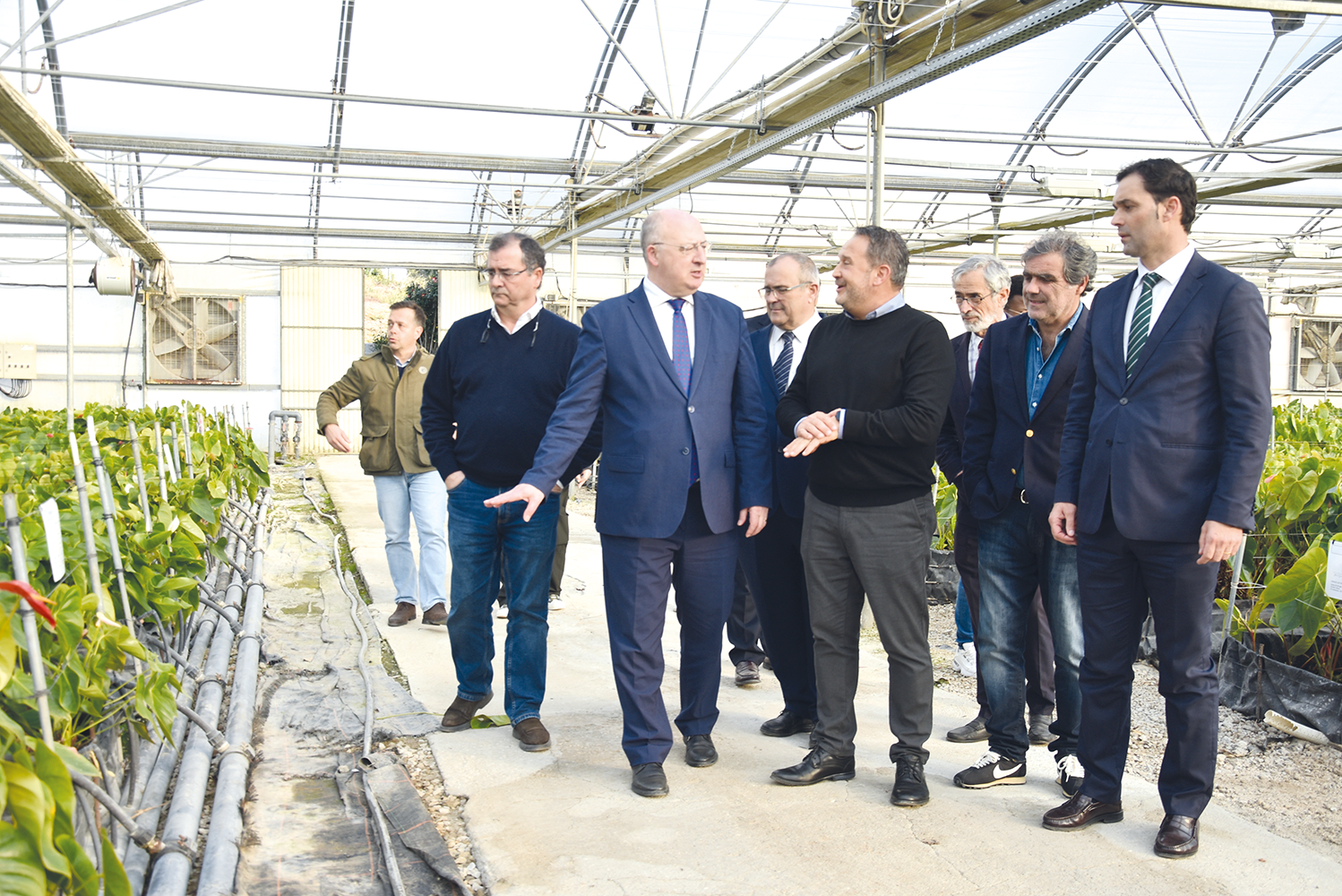 Ministro visitou estufas de antúrios em Óbidos afetadas pela intempérie