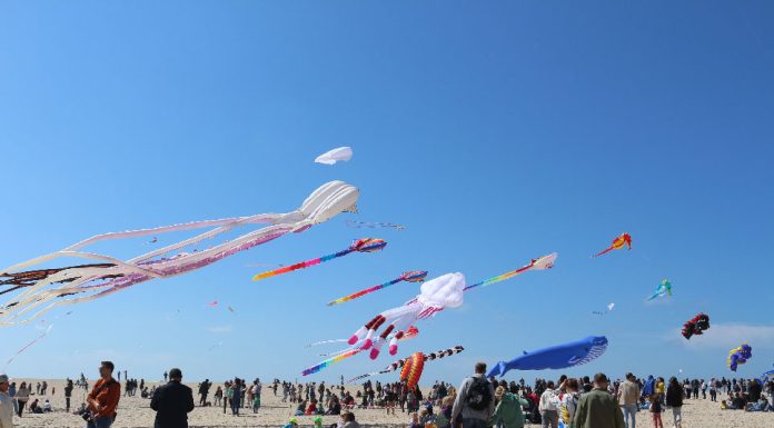 Papagaios levaram milhares à Foz do Arelho