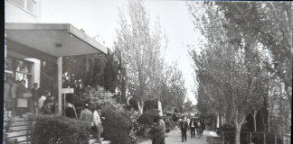 As primeiras eleições livres realizadas em Portugal decorreram há 50 anos