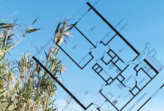 Farmers’ Market: a Rural Housing Boom in the Making?