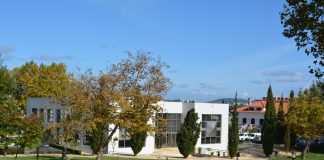 Cadaval – Município assegura transporte para o ato eleitoral