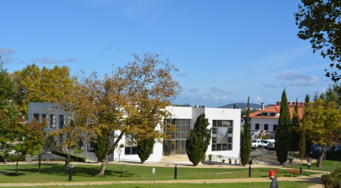 Câmara do Cadaval melhora contas em 2024