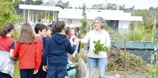 Mais de um milhar de crianças visitou as Hortas Urbanas