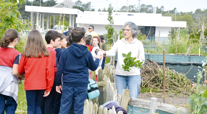 Mais de um milhar de crianças visitou as Hortas Urbanas