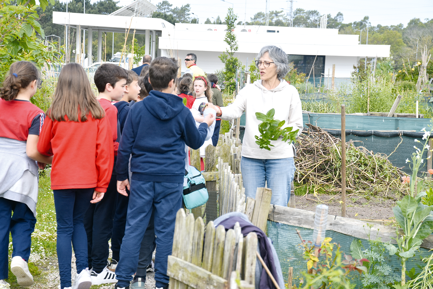 Mais de um milhar de crianças visitou as Hortas Urbanas