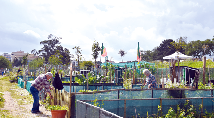 Hortas urbanas mantêm comissão de gestão