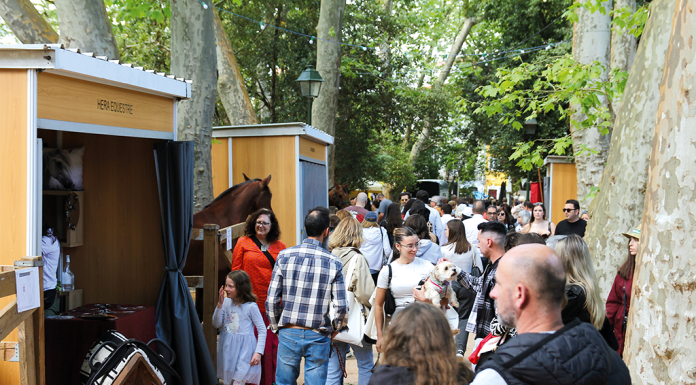 Mau tempo condicionou Oeste Lusitano na homenagem a José Tanganho