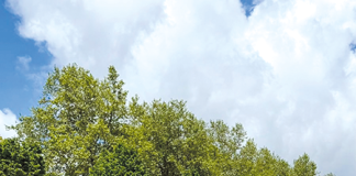 Ténis – Mariia Nozdrachova campeã em Viseu