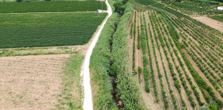 Óbidos – Limpeza das margens do Rio Arnóia iniciou-se esta semana