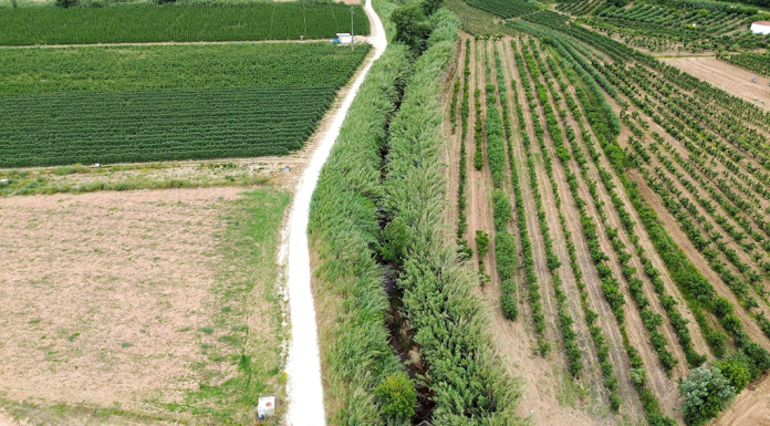 Óbidos – Limpeza das margens do Rio Arnóia iniciou-se esta semana