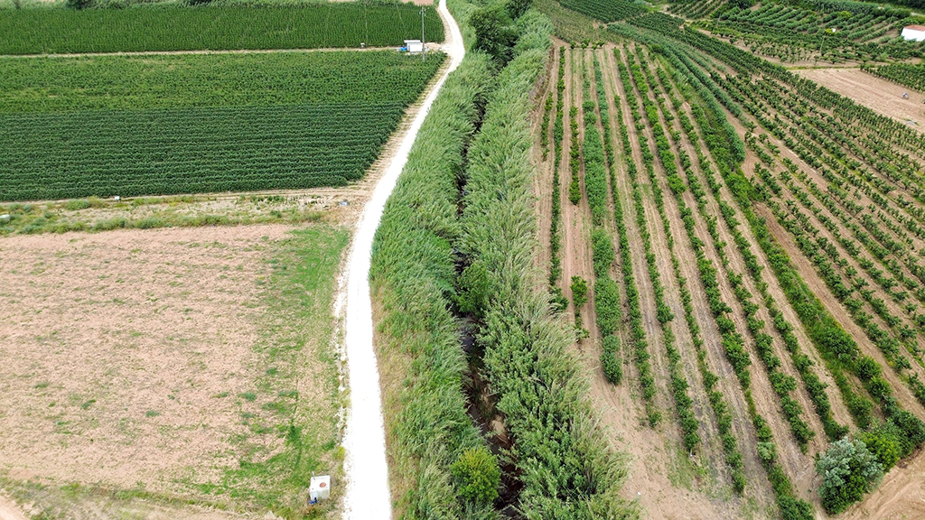 Óbidos – Limpeza das margens do Rio Arnóia iniciou-se esta semana