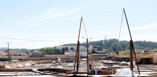 Rio Maior – CE aprova indicação geográfica de Sal de Rio Maior