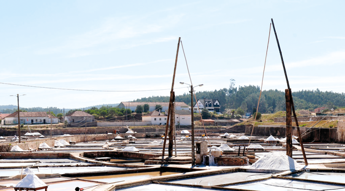 Rio Maior – CE aprova indicação geográfica de Sal de Rio Maior