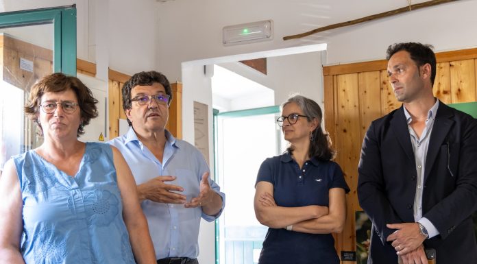 Um casulo para proteger a Lagoa