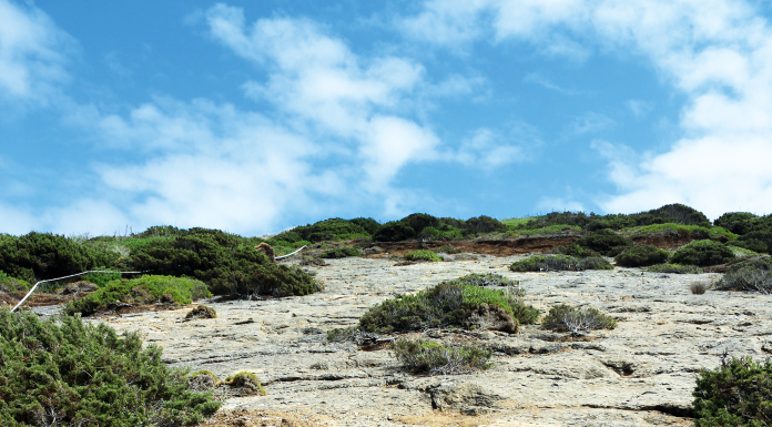 Campanha de prospeção permite identificar novas pegadas de dinossauros em Salir do Porto