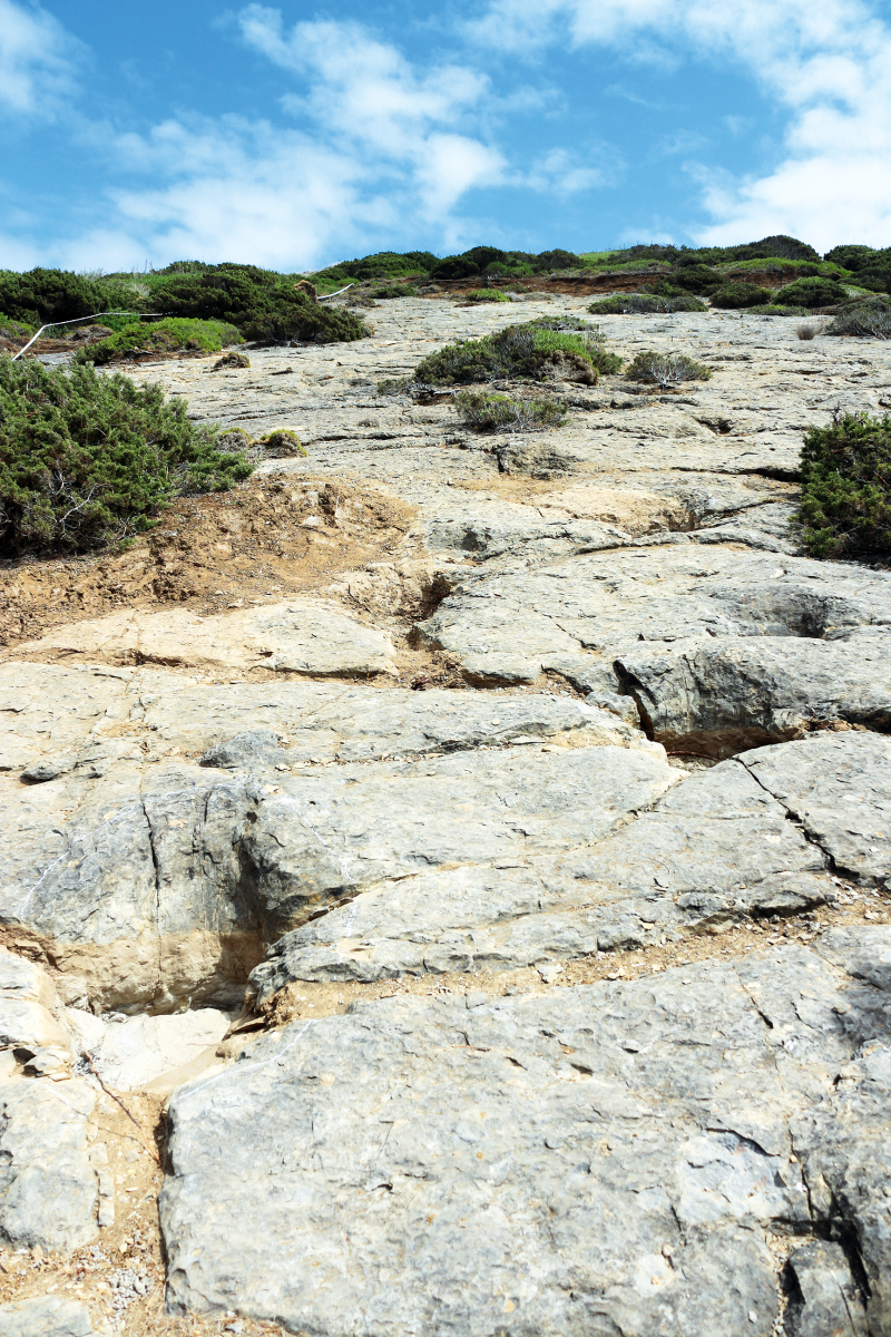 Campanha de prospeção permite identificar novas pegadas de dinossauros em Salir do Porto