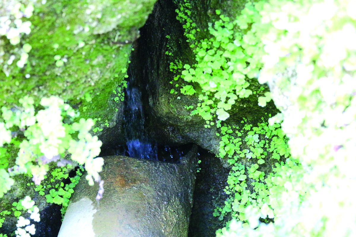 Cortém quer ter uma piscina fluvial