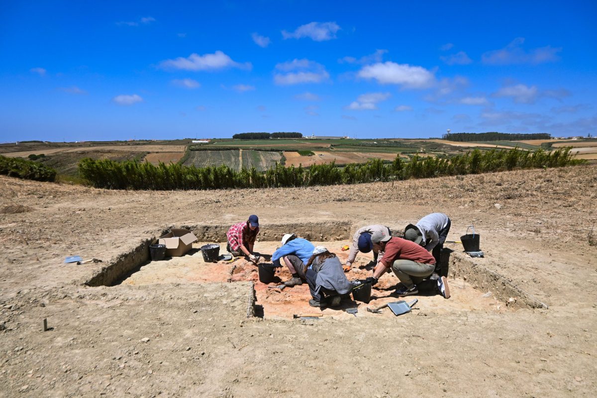 Arqueólogos colocam a Lourinhã na rota das Descobertas e do açúcar