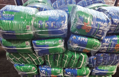 Bombarral: Mais de 200 quilos de cocaína apreendidos pela PJ