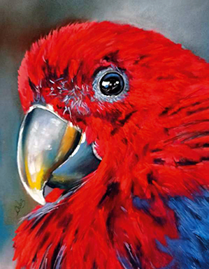 Artes – Duas novas mostras no Baú de Memórias de Alfeizerão